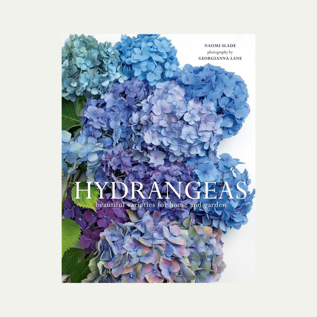 Hydrangeas: Beautiful Varieties for Home &amp; Garden