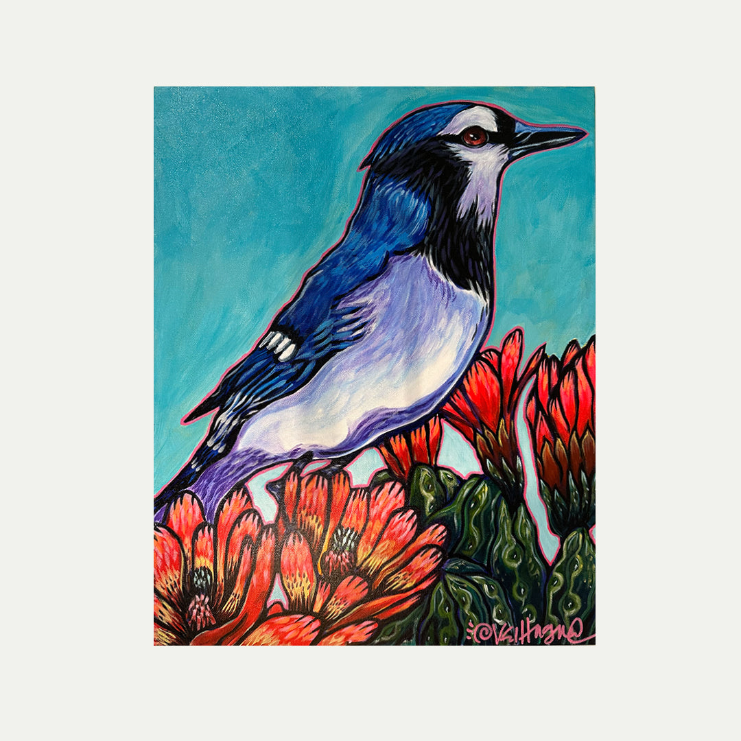 Blue Jay in Cactus Bloom by Val Hague