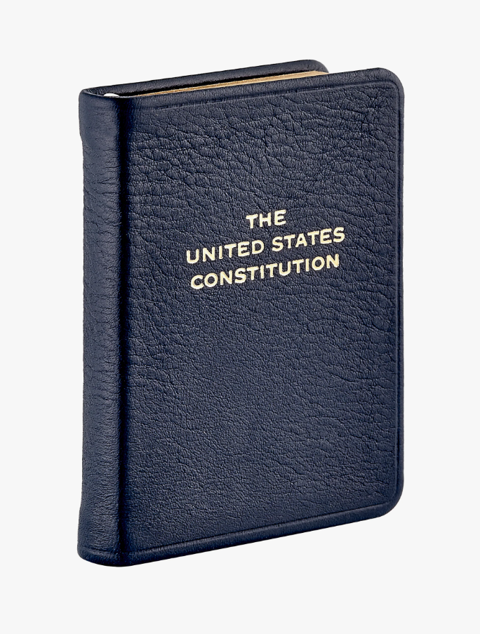 Mini US Constitution