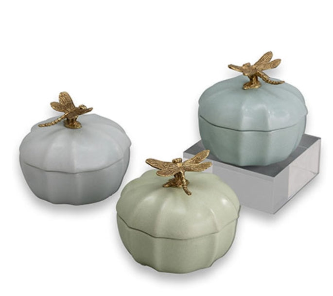Dragonfly Scallop Box