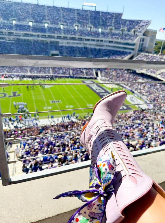 TCU Horned Frogs Skinny Scarf